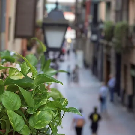 Piso Diseno Deluxe Casco Viejo Entrada Autonoma Y Ascensor *